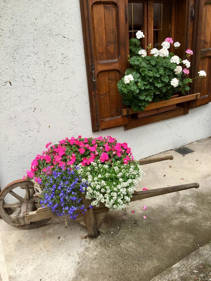 Albergo Meuble Tarandan Forni di Sopra Exterior foto